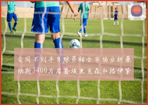 合同不到半年球员转会市场分析桑切斯3400万居首埃里克森和格伊紧随其后