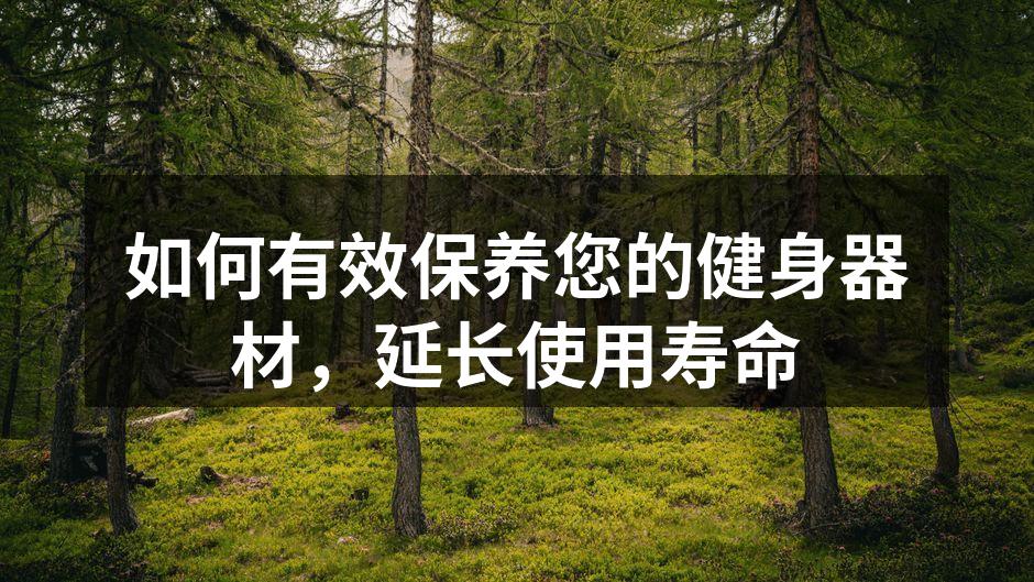 定期清洁器材,保持最佳状态